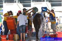/2008WEC/gallery/MattBennet/008/thumbnails/ewc81590.jpg