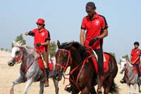 /Bahrain/visit/gallery/Stable/thumbnails/IMG_3003.jpg