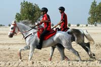 /Bahrain/visit/gallery/Stable/thumbnails/IMG_3017.jpg
