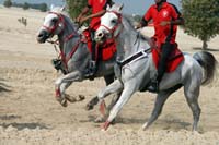 /Bahrain/visit/gallery/Stable/thumbnails/IMG_3022.jpg