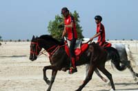 /Bahrain/visit/gallery/Stable/thumbnails/IMG_3081.jpg