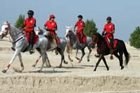 /Bahrain/visit/gallery/Stable/thumbnails/IMG_3095.jpg