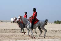 /Bahrain/visit/gallery/Stable/thumbnails/IMG_3101.jpg