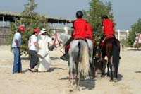 /Bahrain/visit/gallery/Stable/thumbnails/IMG_3209.jpg