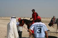 /Bahrain/visit/gallery/Stable/thumbnails/IMG_3213.jpg