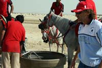 /Bahrain/visit/gallery/Stable/thumbnails/IMG_3214.jpg