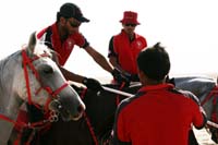 /Bahrain/visit/gallery/Stable/thumbnails/IMG_3223.jpg