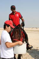 /Bahrain/visit/gallery/Stable/thumbnails/IMG_3233.jpg