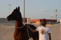 /Bahrain/visit/gallery/Tourists_Steph/thumbnails/IMG_2845.jpg