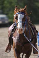 /Oreana/Fandango/2008/gallery/CarollMon/thumbnails/IMG_0455CG.jpg