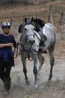 /Oreana/Fandango/2008/gallery/CarollMon/thumbnails/IMG_0888CG.jpg