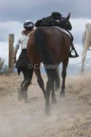 /Oreana/Fandango/2008/gallery/CarollMon/thumbnails/IMG_0891CG.jpg