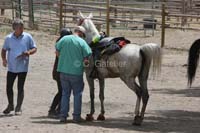 /Oreana/Fandango/2008/gallery/CarollSat/thumbnails/IMG_1322CG.jpg