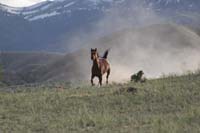 /Oreana/Fandango/2008/gallery/fourSeasons/thumbnails/IMG_1069.jpg