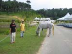 /edaranclassic/gallery/May20/thumbnails/IMG_1656.jpg