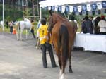 /edaranclassic/gallery/May20/thumbnails/IMG_1660.jpg