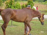 /edaranclassic/gallery/May20/thumbnails/IMG_1665.jpg