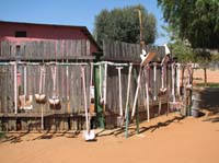 /international/2006Walvisbay/images/PienaasFarmGallery/thumbnails/IMG_0913.jpg
