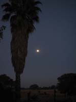 /international/2006Walvisbay/images/PienaasFarmGallery/thumbnails/IMG_0927.jpg