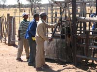 /international/2006Walvisbay/images/ValerieGallery/thumbnails/IMG_0649.jpg