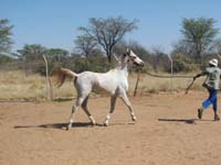 /international/2006Walvisbay/images/WPGallery/thumbnails/IMG_0349.jpg