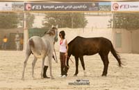 /international/Bahrain/2008CrownPrinceCup/gallery/thumbnails/OSM31172.jpg