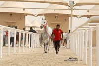/international/Bahrain/2008CrownPrinceCup/gallery/thumbnails/OSM31199.jpg