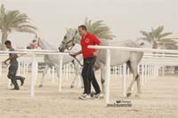/international/Bahrain/2008CrownPrinceCup/gallery/thumbnails/OSM31209.jpg