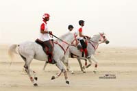 /international/Bahrain/2008CrownPrinceCup/gallery/thumbnails/OSM31429.jpg