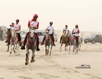 /international/Bahrain/2008CrownPrinceCup/gallery/thumbnails/OSM31471.jpg