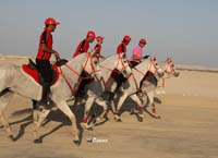 /international/Bahrain/2008HMTheKingsEnduranceCup/Gallery/Training/thumbnails/OSM32756.jpg