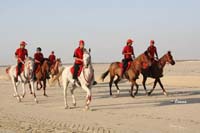 /international/Bahrain/2008HMTheKingsEnduranceCup/Gallery/Training/thumbnails/OSM32796.jpg