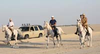 /international/Bahrain/2008HMTheKingsEnduranceCup/Gallery/Training/thumbnails/OSM32836.jpg