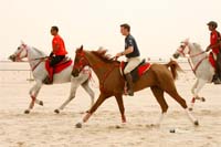 /international/Bahrain/2008HMTheKingsEnduranceCup/Gallery/VetIn/thumbnails/_SAM4222.jpg