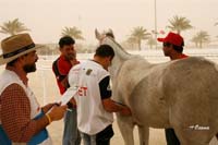 /international/Bahrain/2008HMTheKingsEnduranceCup/Gallery/VetIn/thumbnails/_SAM4384.jpg