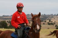 /international/Chile/2007SantoDomingo/Gallery/Dec5_TryingHorses/thumbnails/IMG_2571.jpg