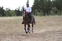 /international/Chile/2007SantoDomingo/Gallery/Dec5_TryingHorses/thumbnails/IMG_2613.jpg