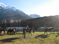 /international/Chile/2009TorresDelPaine/gallery/may1_afternoon/thumbnails/IMG_4269.jpg