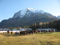 /international/Chile/2009TorresDelPaine/gallery/may1_afternoon/thumbnails/IMG_4286.jpg