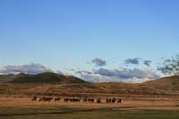 /international/Chile/2009TorresDelPaine/gallery/may1_morning/thumbnails/IMG_5365.jpg