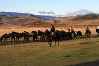 /international/Chile/2009TorresDelPaine/gallery/may1_morning/thumbnails/IMG_5375.jpg