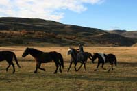 /international/Chile/2009TorresDelPaine/gallery/may1_morning/thumbnails/IMG_5385.jpg