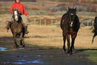 /international/Chile/2009TorresDelPaine/gallery/may1_morning/thumbnails/IMG_5389.jpg