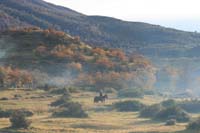/international/Chile/2009TorresDelPaine/gallery/may1_morning/thumbnails/IMG_5400.jpg