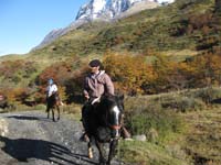 /international/Chile/2009TorresDelPaine/gallery/may1_ride/thumbnails/IMG_4015.jpg