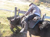 /international/Chile/2009TorresDelPaine/gallery/may1_ride/thumbnails/IMG_4020.jpg