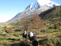 /international/Chile/2009TorresDelPaine/gallery/may1_ride/thumbnails/IMG_4114.jpg