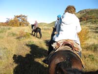 /international/Chile/2009TorresDelPaine/gallery/may1_ride/thumbnails/IMG_4141.jpg
