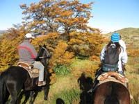 /international/Chile/2009TorresDelPaine/gallery/may1_ride/thumbnails/IMG_4142.jpg