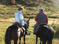 /international/Chile/2009TorresDelPaine/gallery/may1_ride/thumbnails/IMG_4160.jpg